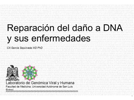 Reparación del daño a DNA y sus enfermedades