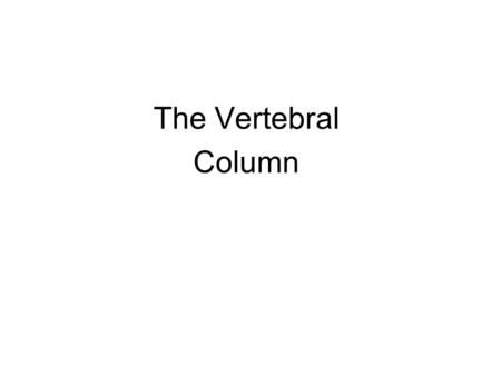 The Vertebral Column. The Vertebral Column (Columna Vertebralis; Spinal Column). The vertebral column is a flexuous and flexible column, formed of a series.