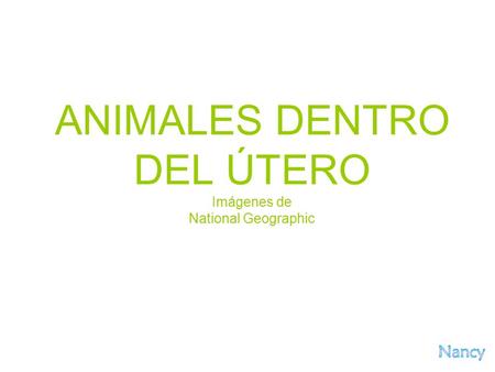 ANIMALES DENTRO DEL ÚTERO Imágenes de National Geographic