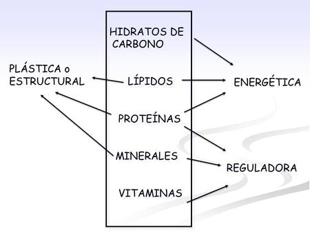 HIDRATOS DE CARBONO LÍPIDOS PROTEÍNAS MINERALES VITAMINAS HIDRATOS DE CARBONO LÍPIDOS PROTEÍNAS MINERALES VITAMINAS ENERGÉTICA REGULADORA PLÁSTICA o ESTRUCTURAL.