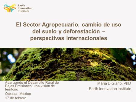 El Sector Agropecuario, cambio de uso del suelo y deforestación – perspectivas internacionales Avanzando el Desarrollo Rural de Bajas Emisiones: una visión.