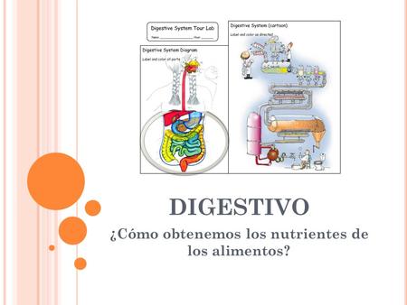 S ISTEMA DIGESTIVO ¿Cómo obtenemos los nutrientes de los alimentos?