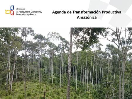 Agenda de Transformación Productiva Amazónica. EVALUACION DE LOS INDICADORES PLANIFICADOS REALIZADOS.
