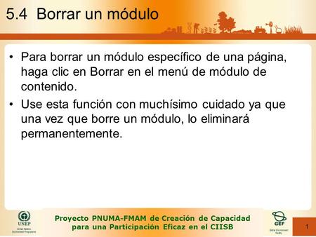 1 Proyecto PNUMA-FMAM de Creación de Capacidad para una Participación Eficaz en el CIISB 5.4 Borrar un módulo Para borrar un módulo específico de una página,