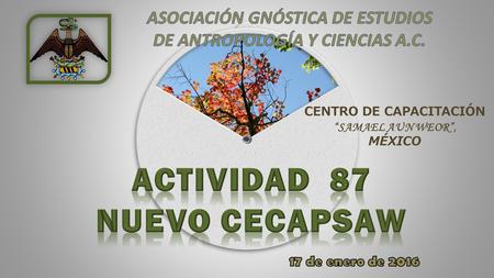 ACTIVIDAD 87 NUEVO CECAPSAW