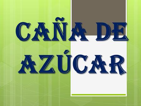 CAÑA DE AZÚCAR.