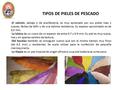 TIPOS DE PIELES DE PESCADO -El salmón, salvaje o de piscifactoría, es muy apreciado por sus pieles lisas y suaves, fáciles de teñir y de una óptima resistencia.