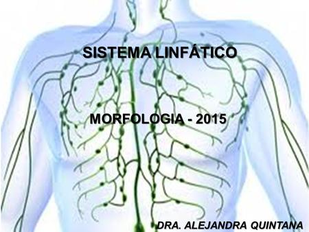 SISTEMA LINFÁTICO MORFOLOGIA - 2015 DRA. ALEJANDRA QUINTANA.