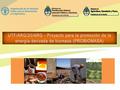 UTF/ARG/20/ARG - Proyecto para la promoción de la energía derivada de biomasa (PROBIOMASA)