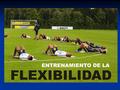 Entrenamiento de la flexibilidad Lic. Nicolás Ferri Kinesiólogo Fisiatra Reeducacion Global Postural - Reeducacion Global Postural.