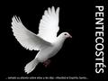 … exhaló su aliento sobre ellos y les dijo: «Recibid el Espíritu Santo…