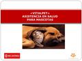 «VITALPET» ASISTENCIA EN SALUD PARA MASCOTAS. QUIENES SOMOS.