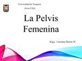 La Pelvis Femenina Universidad de Tarapacá. Arica-Chile Klga.: Carolina Huerta W.