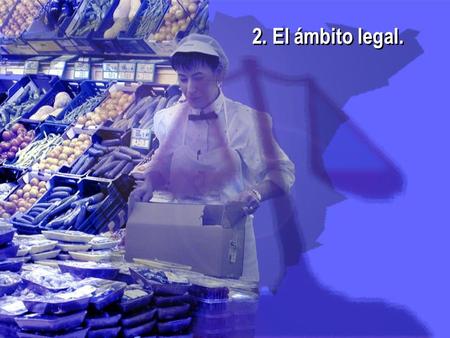 2. El ámbito legal. 2. El ámbito legal.. El Real Decreto 2207/1995 (Boletín Oficial del Estado de 27 de febrero de 1996), establece de acuerdo con la.