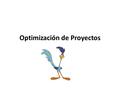 Optimización de Proyectos. Contenidos n Objetivo n Momento óptimo para iniciar el proyecto n Tamaño óptimo de la inversión n Momento óptimo para liquidar.