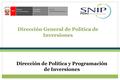 Dirección General de Política de Inversiones Dirección de Política y Programación de Inversiones.