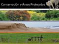 Conservación y Áreas Protegidas. solamente en los últimos 35 años, hemos perdido casi un tercio de la vida silvestre de la Tierra (Informe Planeta Vivo,