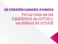  Ayabaca, es una de las provincias que está ubicada en los 04°38’12’’ de Latitud Sur y los 79°42’51’’ de Longitud Oeste, en la sierra de la Región Piura-PERU.