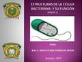 Autor M en C. ADA ELIA DÍAZ GONZÁLEZ BORJA Octubre 2015.