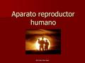 Prof. Vera Stier-Rasic Aparato reproductor humano.