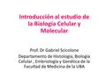 Introducción al estudio de la Biología Celular y Molecular Prof. Dr Gabriel Scicolone Departamento de Histología, Biología Celular, Embriología y Genética.