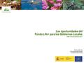 Las oportunidades del Fondo Life+ para los Gobiernos Locales FEMP. 22 de diciembre de 2011 Sonia Castañeda Directora de Internacional Fundación Biodiversidad.