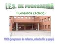 Fuensalida (Toledo). Qué es para nosotros el PROA? Una serie de actuaciones dirigidas a todos los alumnos de uno o más cursos, impulsadas por los PRINCIPIOS.