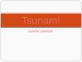 Julietta Llanibelli Tsunami. Características de un Tsunami Los tsunamis habitualmente se componen de una serie de olas, llamadas tren de olas, por lo.