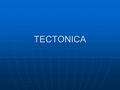 TECTONICA. Evolución de la Corteza El primero en proponer la idea de que los continentes podían haber estado unidos en el pasado geológico fue Wegener.