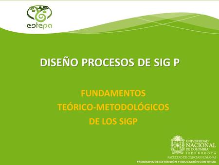 DISEÑO PROCESOS DE SIG P FUNDAMENTOS TEÓRICO-METODOLÓGICOS DE LOS SIGP.