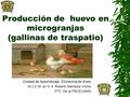 Producción de huevo en microgranjas (gallinas de traspatio) Unidad de Aprendizaje: Zootecnia de Aves M.V.Z. M. en S. A. Roberto Mendoza Vilchis PTC. De.