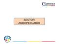 SECTOR AGROPECUARIO. NOMBRE DE LA ENTIDAD: SECRETARIA DE AGRICULTURA Y DESARROLLO RURAL El Departamento de Cundinamarca, tiene una extensión de 24.210.