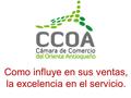Como influye en sus ventas, la excelencia en el servicio.