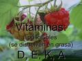 Vitaminas: liposolubles (se disuelven en grasa) D, E, K, A.