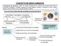 CONCEPTO DE MEDIO AMBIENTE