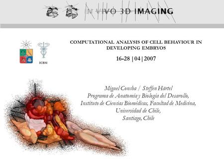 ICBM COMPUTATIONAL ANALYSIS OF CELL BEHAVIOUR IN DEVELOPING EMBRYOS 16-28 |04|2007 Miguel Concha / Steffen Härtel Programa de Anatomía y Biología del Desarollo,