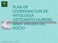 PLAN DE COORDINACION DE PATOLOGIA OSTEOARTICULARDEL AREA VIRGEN DEL ROCIO DISTRITO SANITARIO A. P. SEVILLA.