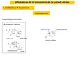 Inhibidores de la biosíntesis de la pared celular ● Antibióticos β-lactámicos Aspectos estructurales β-lactámicos Clásicos Cefalosporinas (1949) (1929/1942)