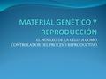 EL NÚCLEO DE LA CÉLULA COMO CONTROLADOR DEL PROCESO REPRODUCTIVO.