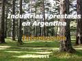 Industrias Forestales en Argentina Introducción
