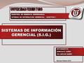 SISTEMAS DE INFORMACIÓN GERENCIAL (S.I.G.) UNIVERSIDAD FERMIN TORO UNIVERSIDAD FERMIN TORO MAESTRÍA DE GERENCIA EMPRESARIAL SITEMAS DE INFORMACION GERENCIAL.