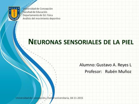 N EURONAS SENSORIALES DE LA PIEL Alumno: Gustavo A. Reyes L Profesor: Rubén Muñoz Universidad de Concepción Facultad de Educación Departamento de Ed. Física.