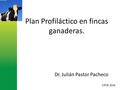 Plan Profiláctico en fincas ganaderas. Dr. Julián Pastor Pacheco CATIE 2016.