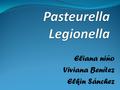 Pasteurella Legionella