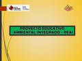 PROYECTO EDUCATIVO AMBIENTAL INTEGRADO - PEAI