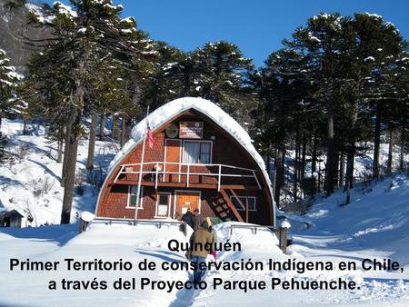 Quinquén Primer Territorio de conservación Indígena en Chile, a través del Proyecto Parque Pehuenche.