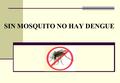 SIN MOSQUITO NO HAY DENGUE. POR ELLO DEBEMOS COLABORAR PARA: ELIMINAR LOS CRIADEROS del mosquito que lo transmite. SIN MOSQUITO NO HAY ENFERMEDAD.