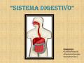 “Sistema Digestivo” Integrantes: Cynthia Flores M. Macarena Narváez