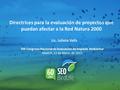 VIII Congreso Nacional de Evaluación de Impacto Ambiental Madrid, 12 de Marzo de 2015 Directrices para la evaluación de proyectos que puedan afectar a.
