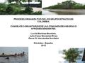 PROCESO ORGANIZATIVO DE LOS GRUPOS ETNICOS EN COLOMBIA. CONSEJOS COMUNITARIOS DE LAS COMUNIDADES NEGRAS O AFRODESCENDIENTES. Lucila Martínez Montaño. Julio.